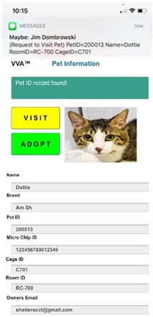 Colorlib Template