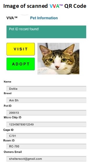 Colorlib Template