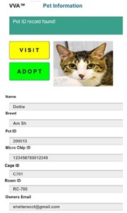 Colorlib Template